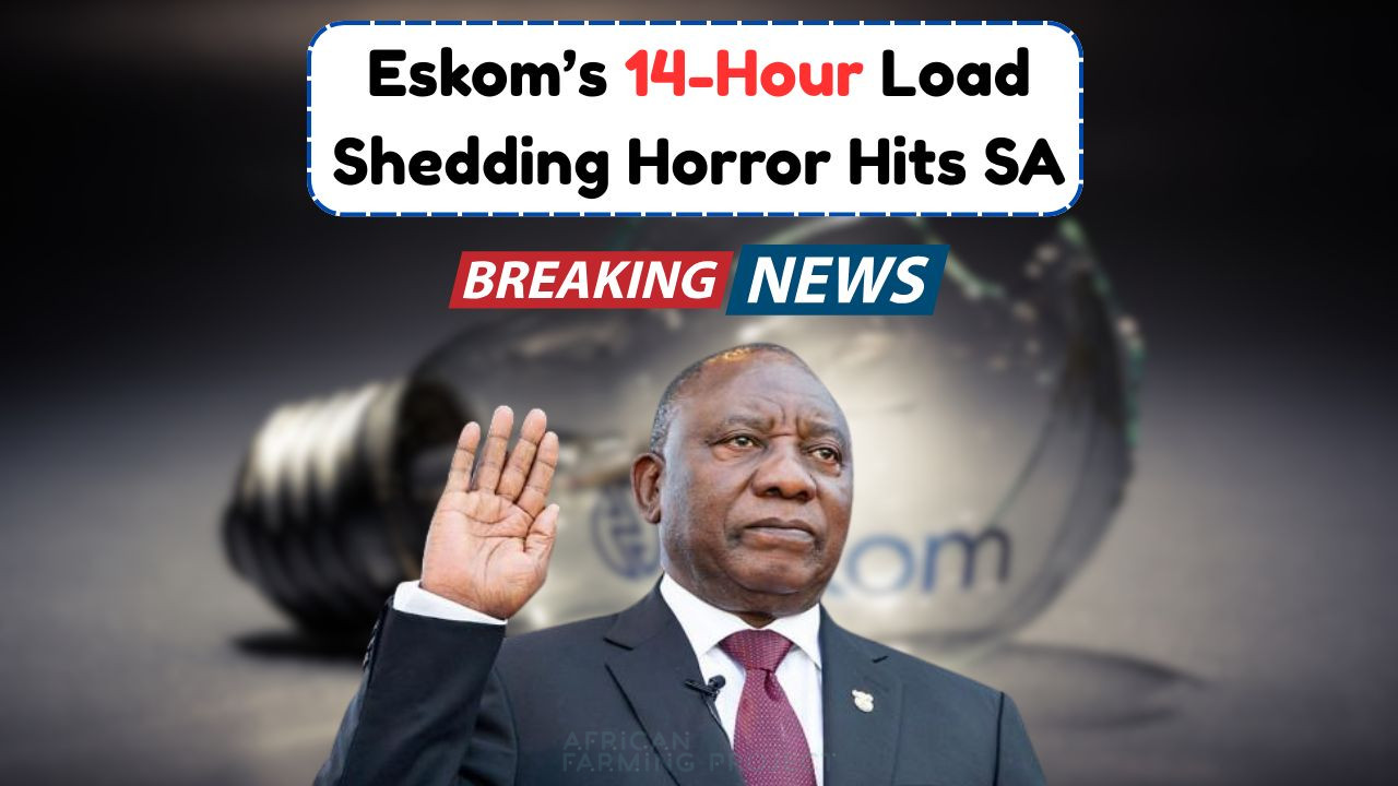 14-Hour Load Shedding