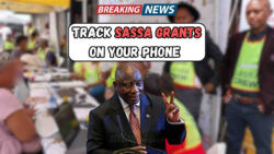 SASSA Grants 2025: Get Instant SMS and Email Alerts – Here’s How to Track Your Payments Easily