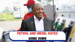 Petrol and Diesel Rates Reduced Nationwide from June 2025 – Govt Offers Huge Relief to Motorists