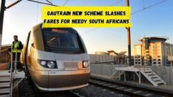 2025 Public Transport Discount: Gautrain Cuts Fares by 50% for SASSA and Low-Income Riders