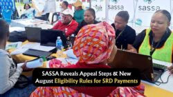 How to Reapply for R350 SRD Grant Before 6 August – SASSA Releases New Online Form Update